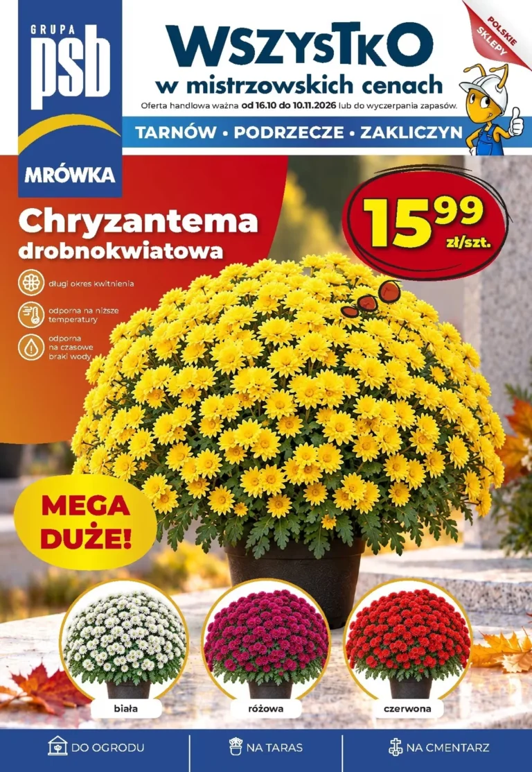 Mrówka Gazetka od 16.10.2026