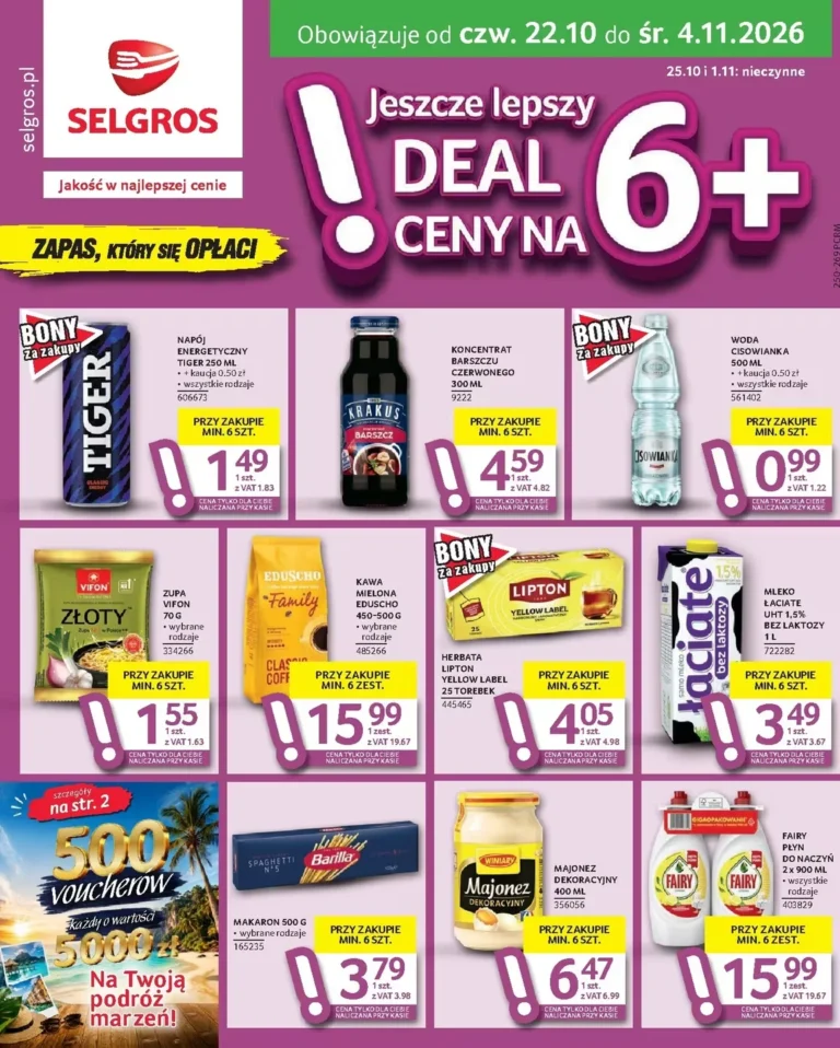 Selgros Cash&Carry Gazetka od 22.10.2026